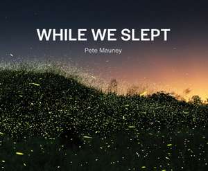 While We Slept de Pete Mauney