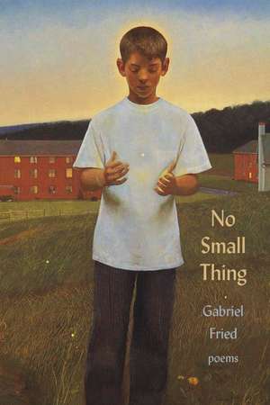 No Small Thing de Gabriel Fried