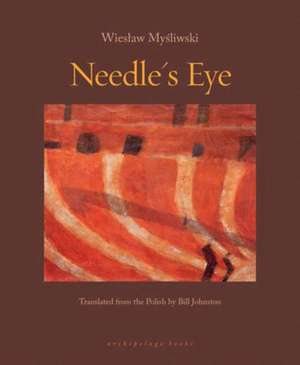 Needle's Eye de Wieslaw Mysliwski