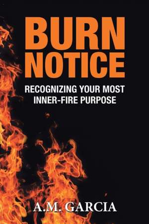 Burn Notice de A. M. Garcia