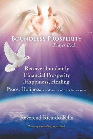 Boundless Prosperity de Reverend Ricardo Felix