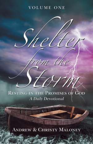 Shelter from the Storm de Andrew Maloney