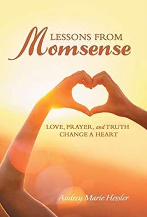 Lessons from Momsense de Audrey Marie Hessler