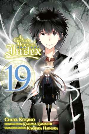 A Certain Magical Index, Vol. 20 (light novel) de Kazuma Kamachi