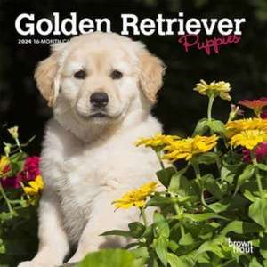 Golden Retriever Puppies 2024 Mini 7x7 de Browntrout