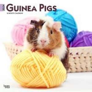 GUINEA PIGS 2024 SQUARE