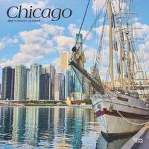 Chicago 2025 12 X 24 Inch Monthly Square Wall Calendar Plastic-Free de Browntrout