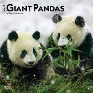 Giant Pandas 2025 12 X 24 Inch Monthly Square Wall Calendar Plastic-Free de Browntrout