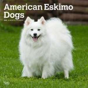 American Eskimo Dogs 2025 12 X 24 Inch Monthly Square Wall Calendar Plastic-Free de Browntrout