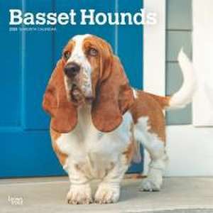 Basset Hounds 2025 12 X 24 Inch Monthly Square Wall Calendar Plastic-Free de Browntrout