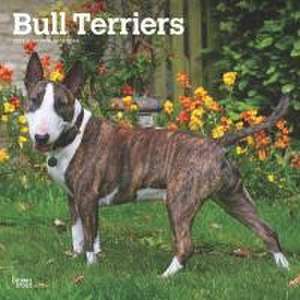 Bull Terriers 2025 12 X 24 Inch Monthly Square Wall Calendar Plastic-Free de Browntrout