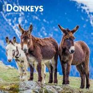 Donkeys 2025 12 X 24 Inch Monthly Square Wall Calendar Plastic-Free de Browntrout