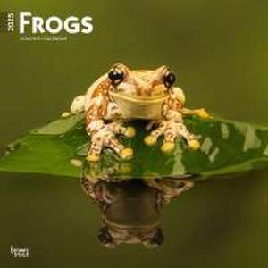 Frogs 2025 12 X 24 Inch Monthly Square Wall Calendar Plastic-Free de Browntrout