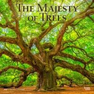 The Majesty of Trees 2025 12 X 24 Inch Monthly Square Wall Calendar Plastic-Free de Browntrout