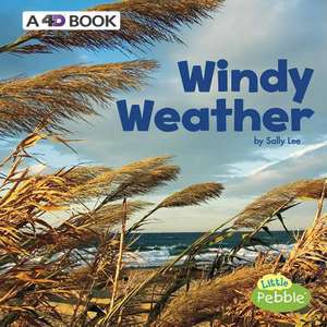 Windy Weather de Sally Lee