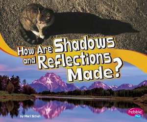 How Are Shadows and Reflections Made? de Mari Schuh