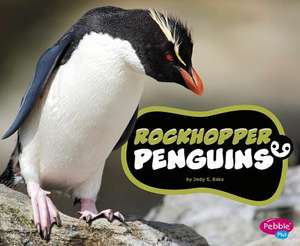 Rockhopper Penguins de Jody S. Rake