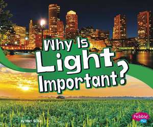 Why Is Light Important? de Mari Schuh