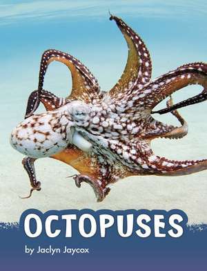 Octopuses de Jaclyn Jaycox