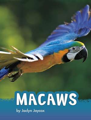 Jaycox, J: Macaws