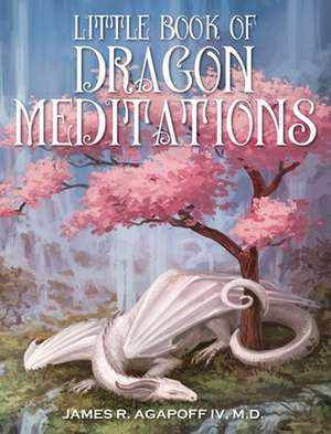 Little Book of Dragon Meditations de IV James R. Agapoff