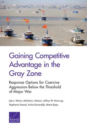 Gaining Competitive Advantage in the Gray Zone de Marta Kepe