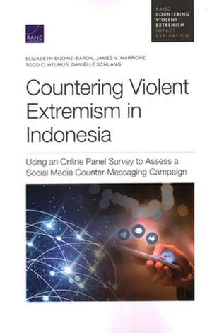 COUNTERING VIOLENT EXTREMISM IPB de Todd C. Helmus