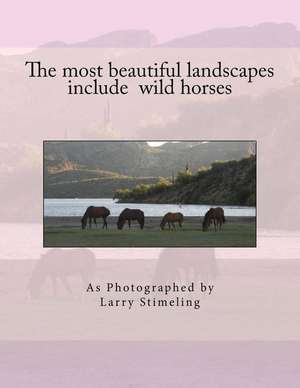 The Most Beautiful Landscapes Include Wild Horses de Larry Stimeling