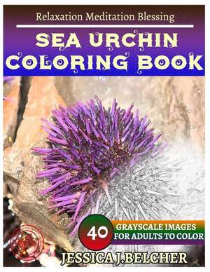 Sea Urchin Coloring Books de Belcher, Jessica