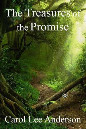 The Treasures of the Promise de Carol Lee Anderson