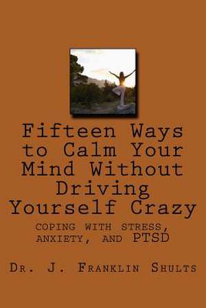 Fifteen Ways to Calm Your Mind Without Driving Yourself Crazy de Dr J. Franklin Shults