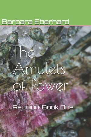 The Amulets of Power de Barbara Eberhard