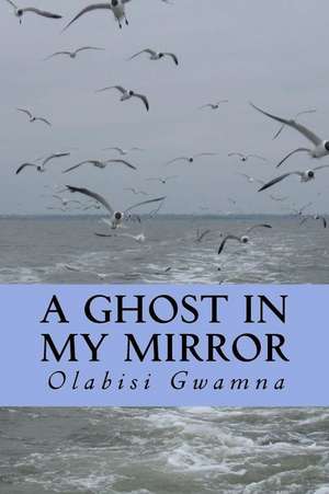 A Ghost in My Mirror de Gwamna, Olabisi T.