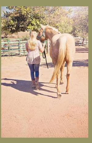 Riding Scared: A Spiritual Guide to Reconnecting with Yourself and Your Horse de Miranda K. Velasquez