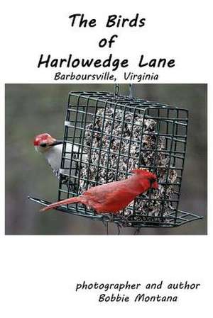 The Birds of Harlowedge Lane de Montana, Bobbie