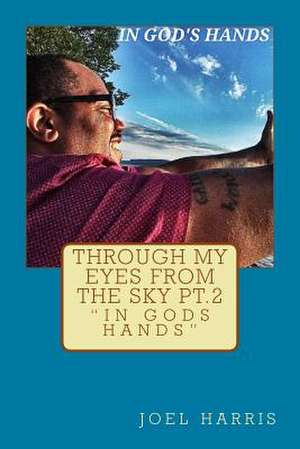 Through My Eyes from the Sky, Part 2; In God's Hands de Harris, Mr Joel