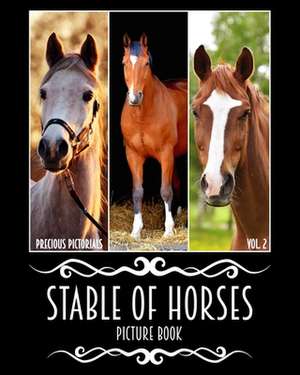 Precious Pictorials Stable of Horses Picture Book Vol. 02 de Precious Pictorials