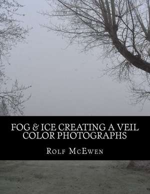 Fog & Ice Creating a Veil - Color Photographs de Rolf McEwen