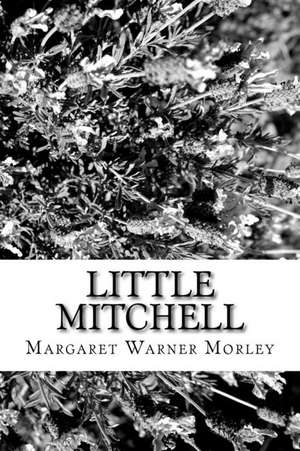 Little Mitchell de Margaret Warner Morley