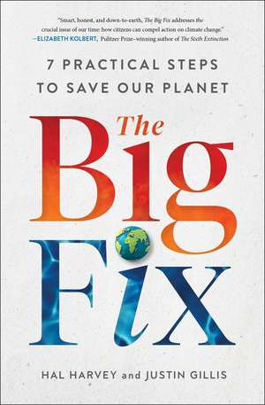 The Big Fix: Seven Practical Steps to Save Our Planet de Hal Harvey