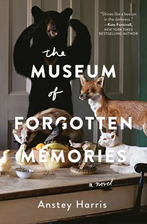 The Museum of Forgotten Memories de Anstey Harris