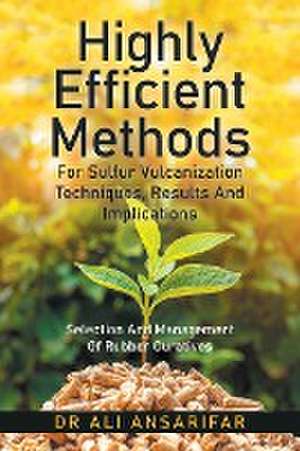 Highly Efficient Methods for Sulfur Vulcanization Techniques, Results and Implications de Ali Ansarifar