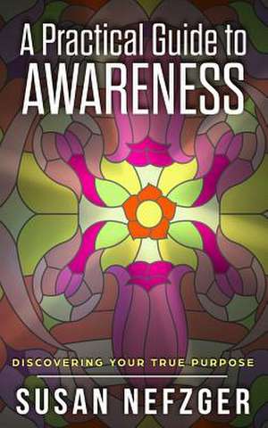 A Practical Guide to Awareness de Nefzger, Susan