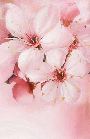 Cherry Blossoms Journal de Journals, Belle