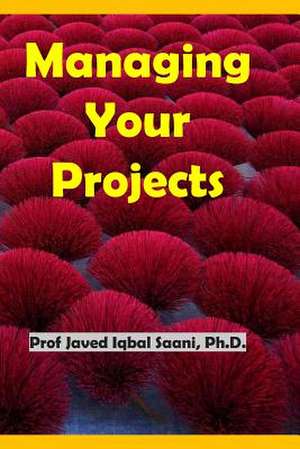 Managing Your Projects de Iqbal Saani, Prof Javed