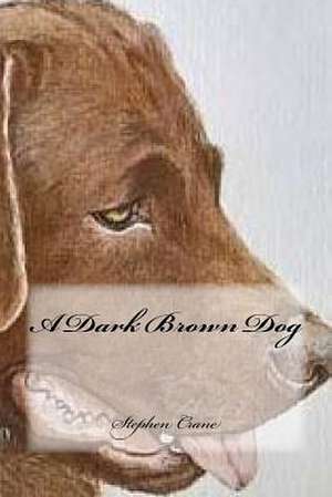 A Dark Brown Dog de Stephen Crane