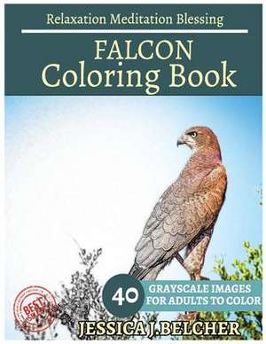 Falcon Coloring Book for Adults Relaxation Meditation Blessing de Belcher, Jessica