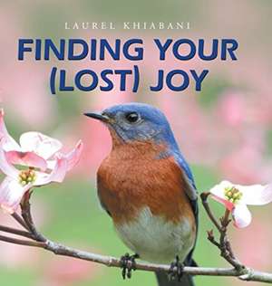 Finding Your (Lost) Joy de Laurel Khiabani