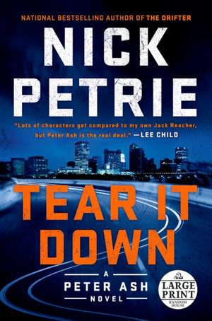 Tear It Down de Nick Petrie