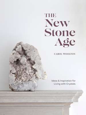 The New Stone Age de Carol Woolton